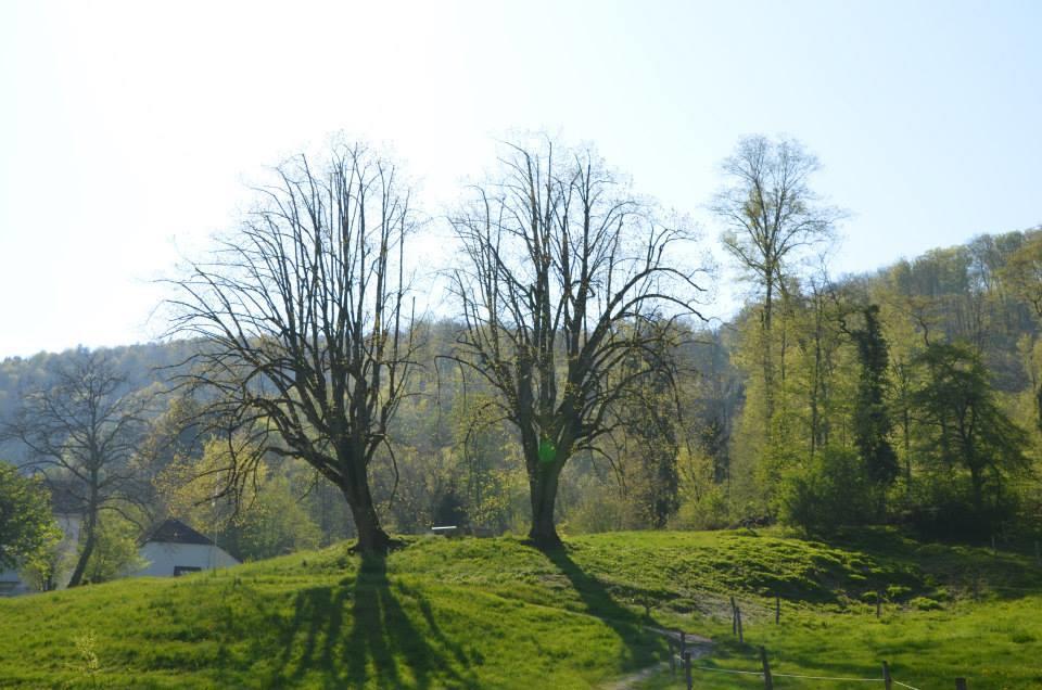 فندق Bad Schauenburg ليستال المظهر الخارجي الصورة