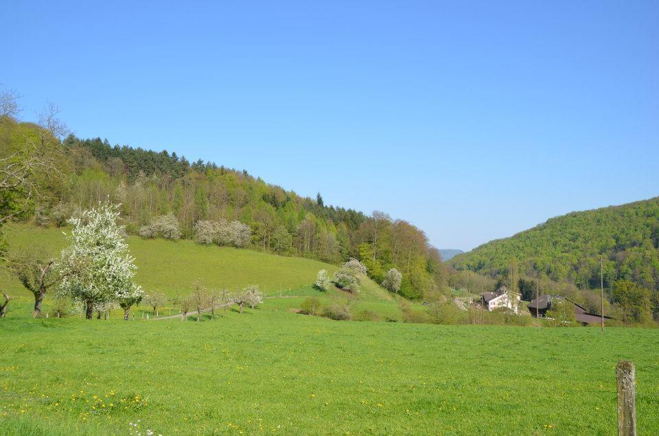 فندق Bad Schauenburg ليستال المظهر الخارجي الصورة